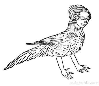 鴸鸟:鸟,其状如鸱而人手,其音如痹,其名自号也,见则其县多放土