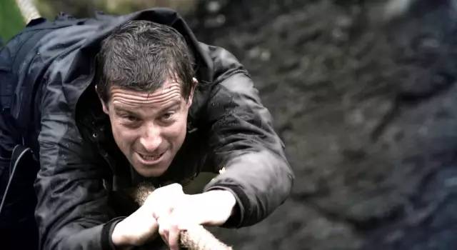 要知道哈,贝爷是放飞自我了,想跑哪儿跑哪儿,想吃啥吃啥.