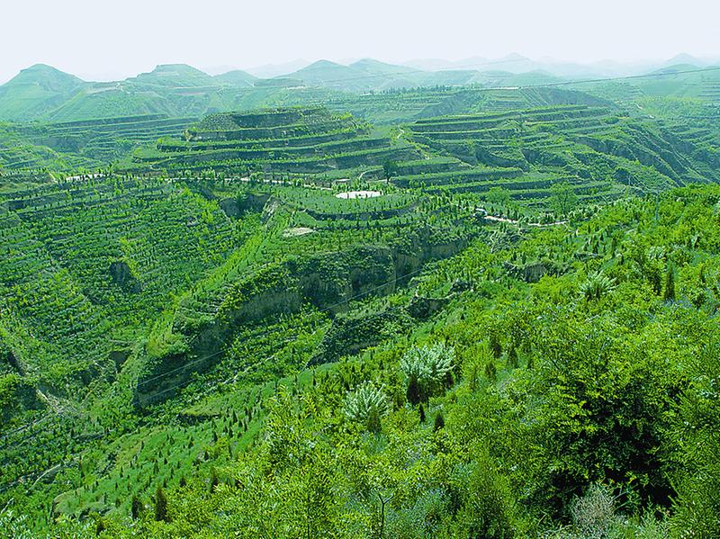 让三秦大地山绿水清天更蓝