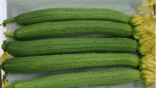 19,丝瓜 又名蛮瓜,菜瓜,天罗絮,布瓜,天丝瓜等.