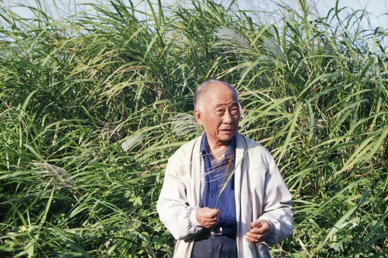 1991年,汪曾祺在家乡高邮的芦苇荡里 老头儿多年的朋友黄裳先生写过