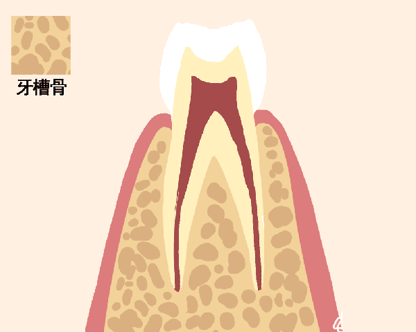 3分钟让你不再忽视牙齿松动这件小事