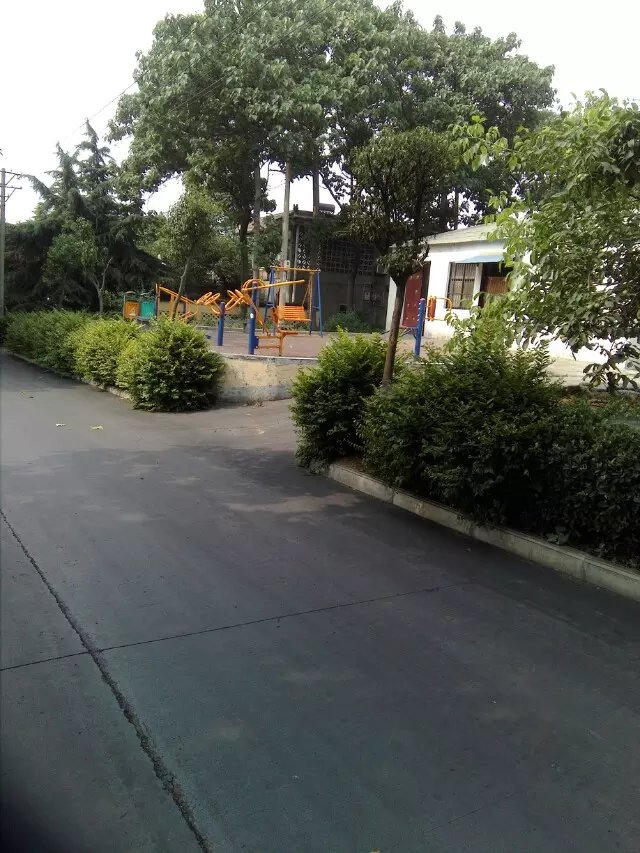 真实的河南普通农村,绿化的特别不错,值得一看