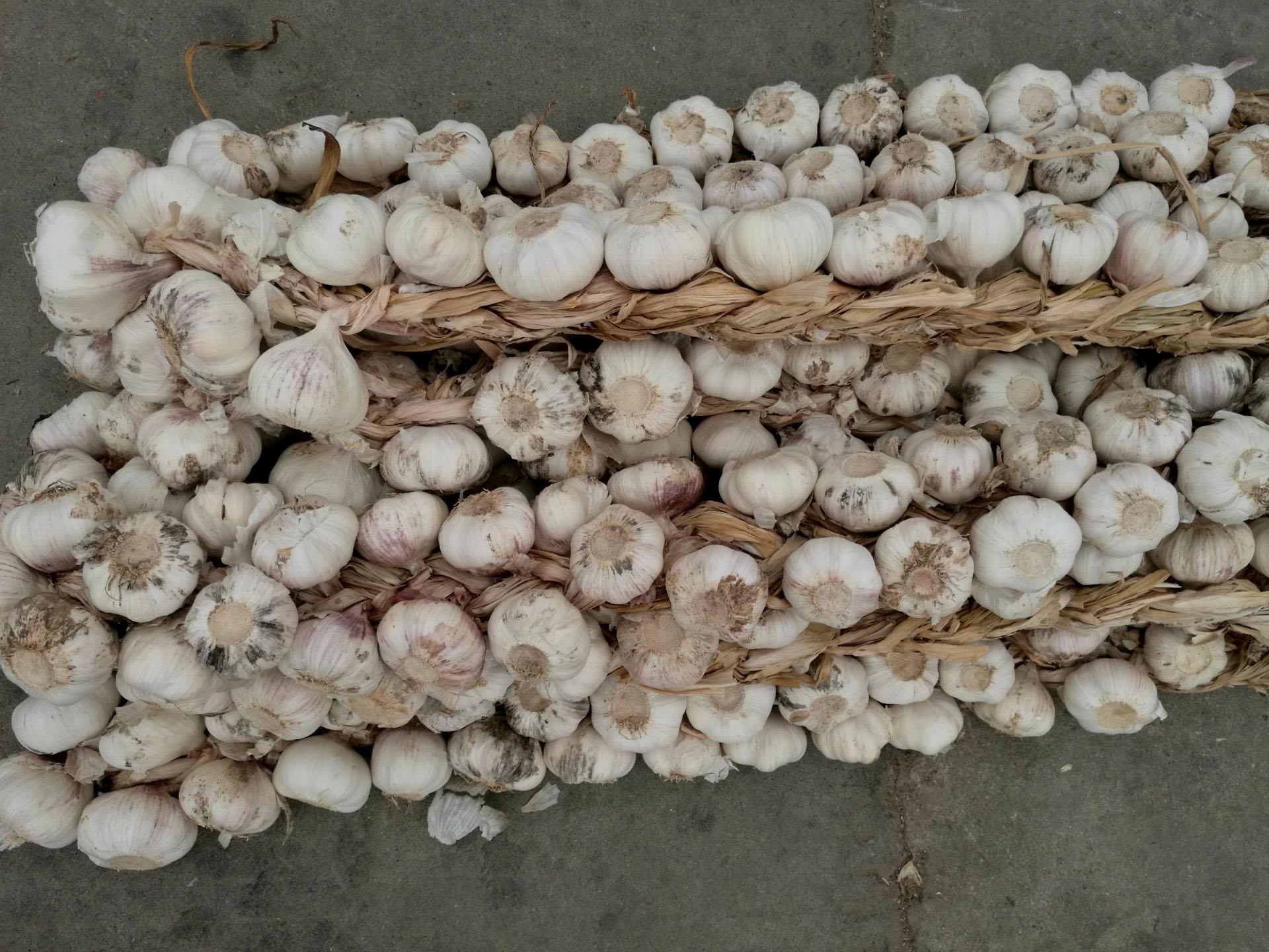 大蒜再不买就要罢市了 王大爷一下子卖了四辫也没高兴起来