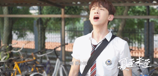 笑死夏至未至郑爽白敬亭撞到反光板蹲在地上笑不停