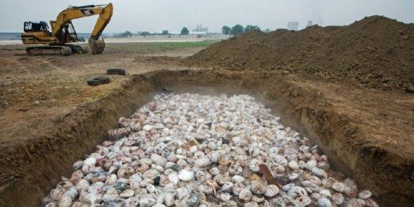 然而接下来的一幕,更让围观者跌破眼镜!