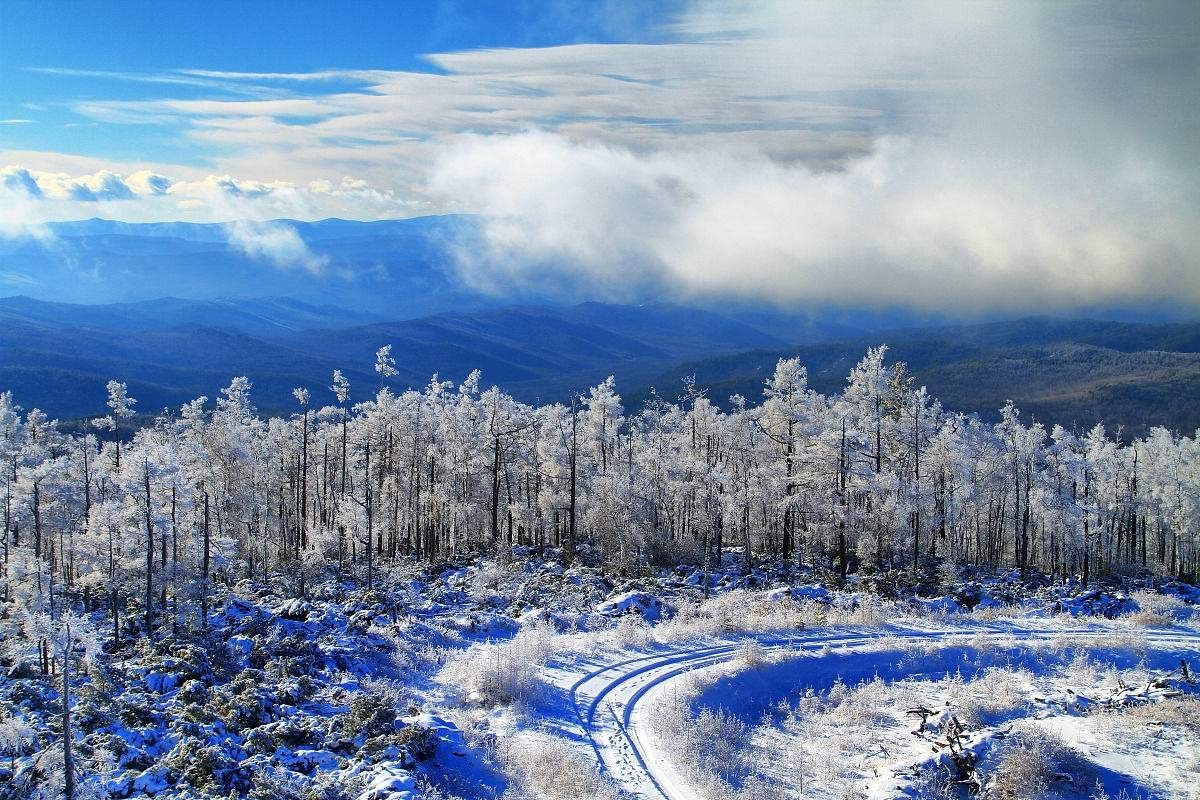 盲流屯情事(连载)| 有故事的人