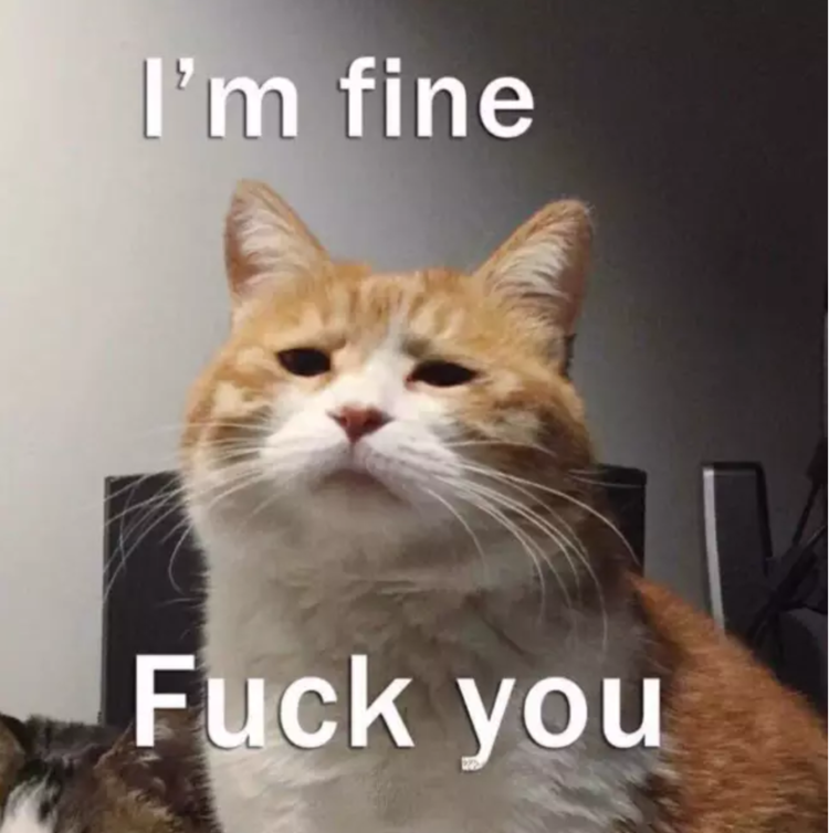 就是你在逼我朋友圈三天可见