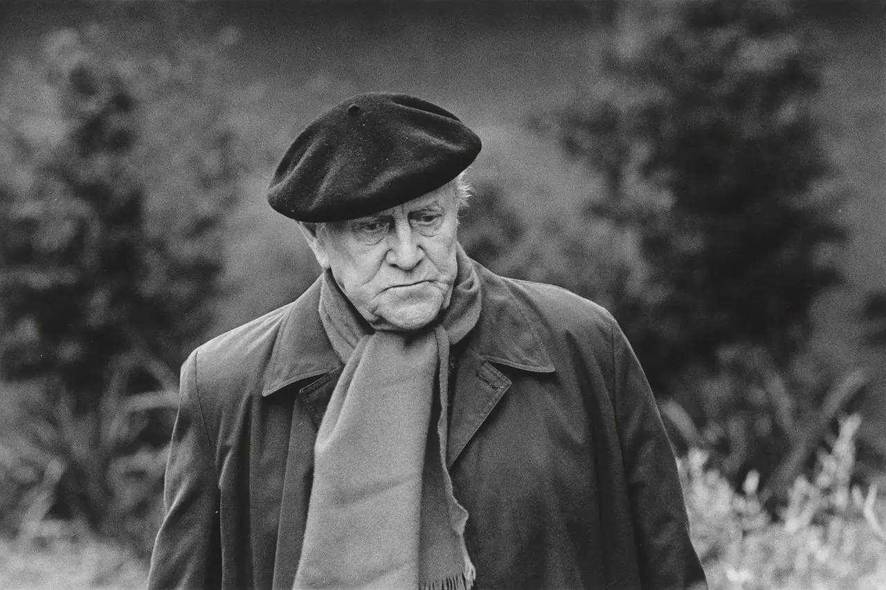 帕特里克&middot;怀特( patrick white