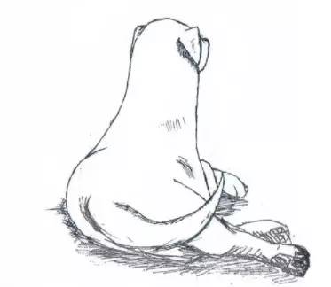 日本漫画家用一组手绘画,描绘了狗狗在面对安乐死前的心声.