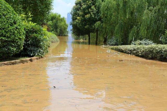 刚退水的橘子洲淤泥堆积志愿者烈日下赤脚清扫