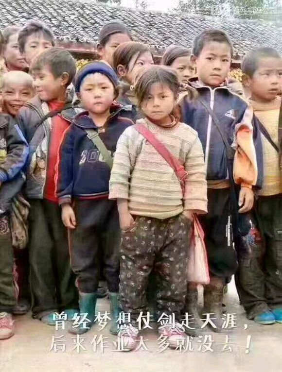 我曾经梦想仗剑走天涯,可是作业太多啦__凤凰网