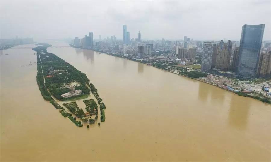 橘子洲被淹2017照片图片