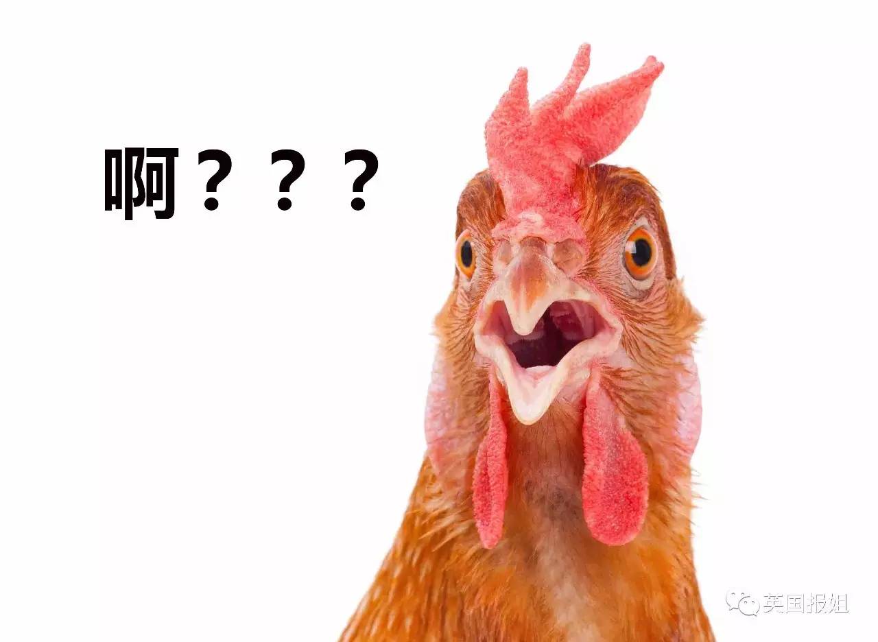 高呼为了世界和平他们冲进肉铺解救了一群老母鸡