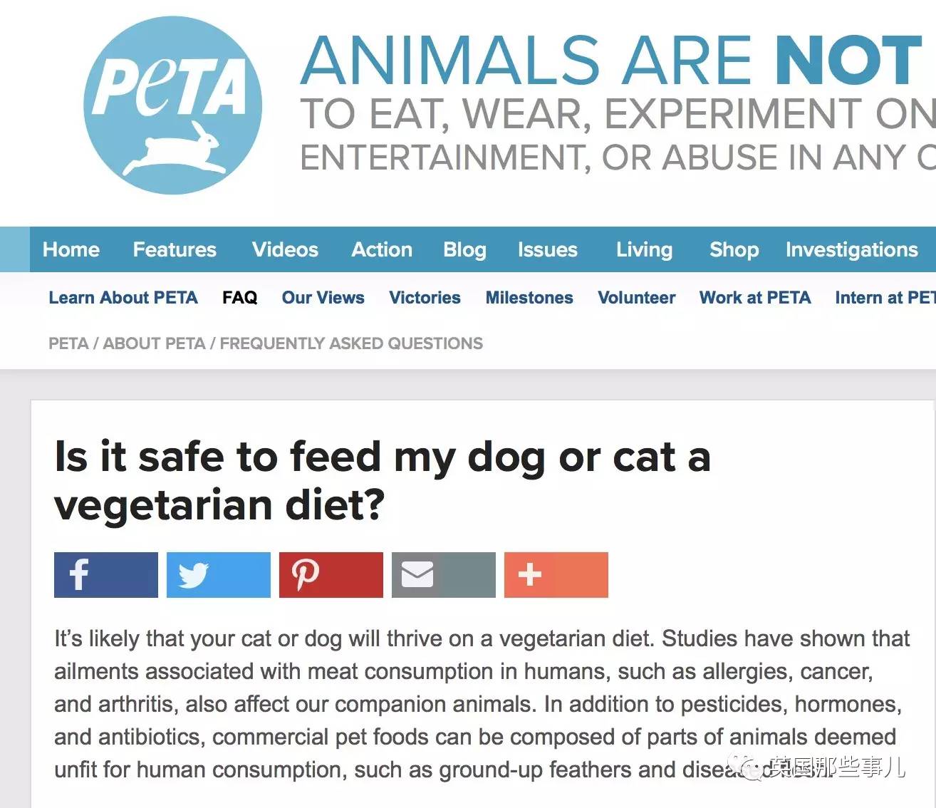  Understanding PETA: What Does PETA Stands For and Its Impact on Animal Rights