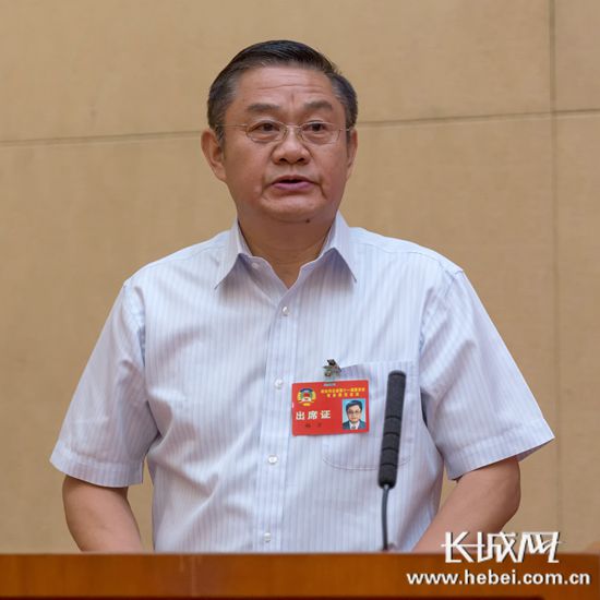 省政协常委杨方发言.记者 胡晓梅 摄
