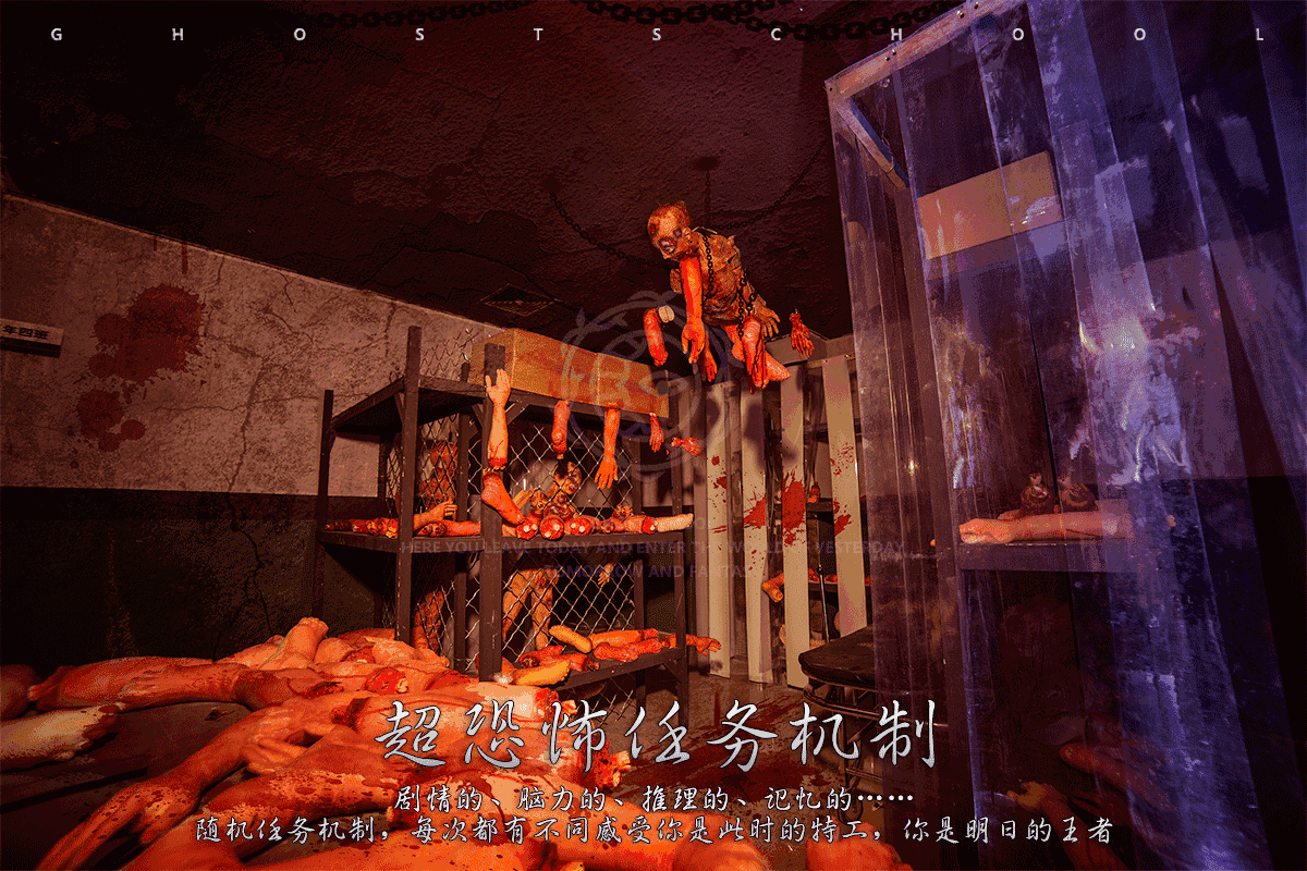 37℃老板 || 他初二辍学开了一家鬼校,吓尿10000