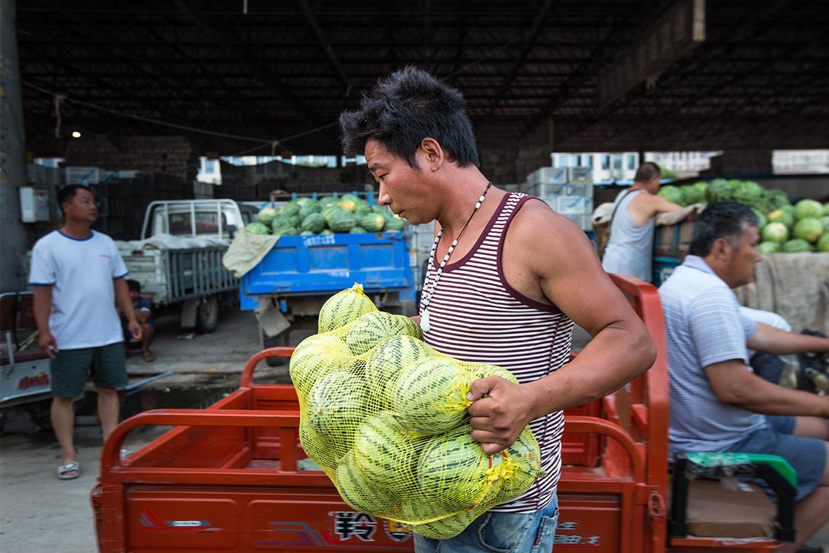 瓜农卖袋装西瓜日销4万斤收徒10余人