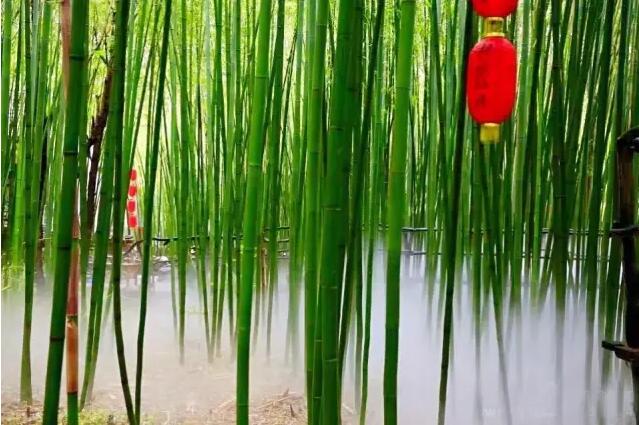 既然想念不如相见8月来竹泉村61红石寨搞事吧