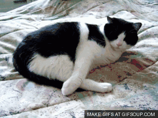 老做噩梦科学家说你可能睡得太多了