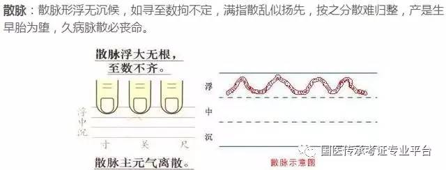 普通人都能学会的,看图学把脉吧,一看就会