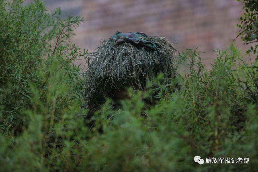 穿上伪装服的狙击手原来是这样!难得一见