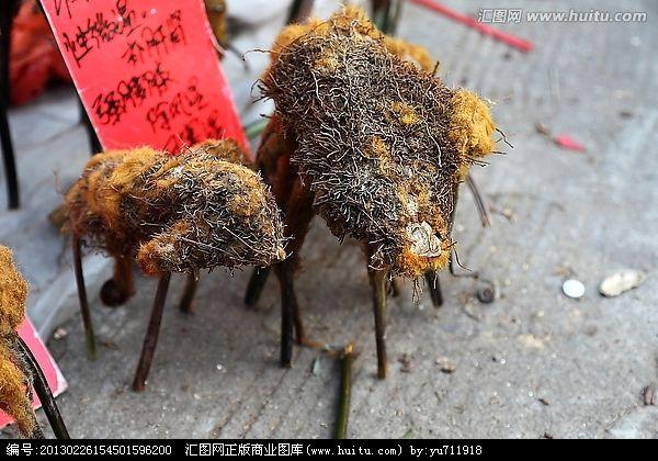 藥市上看見這個張的像狗的藥材你知道它叫有啥作用嗎