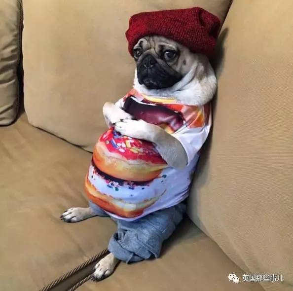 肉嘟嘟圆滚滚让人又爱又恨的小肚腩其实很可爱的好嘛