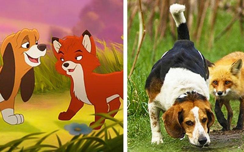 图为《狐狸与猎犬》陶德与小铜.