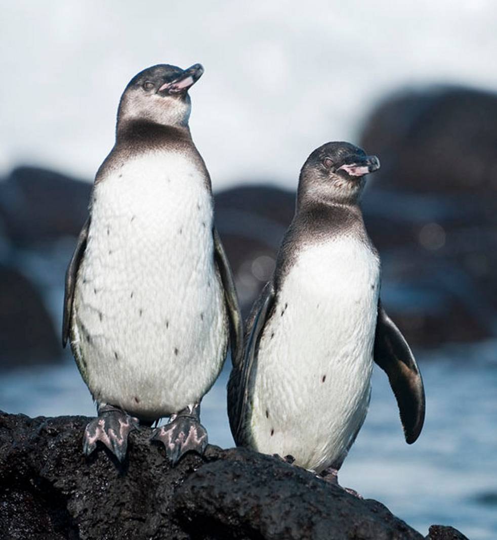 朋友圈里的惊人真相!看完三观碎了一地……_凤凰财经