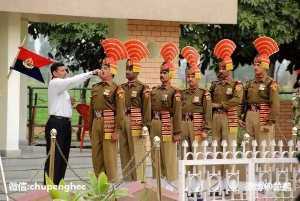 仪仗兵头顶高耸的鸡冠帽,好似一个个好斗的公鸡.