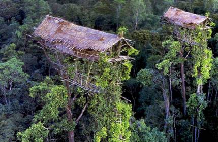 苏门答腊岛丛林深处的kubu族.(资料图片)