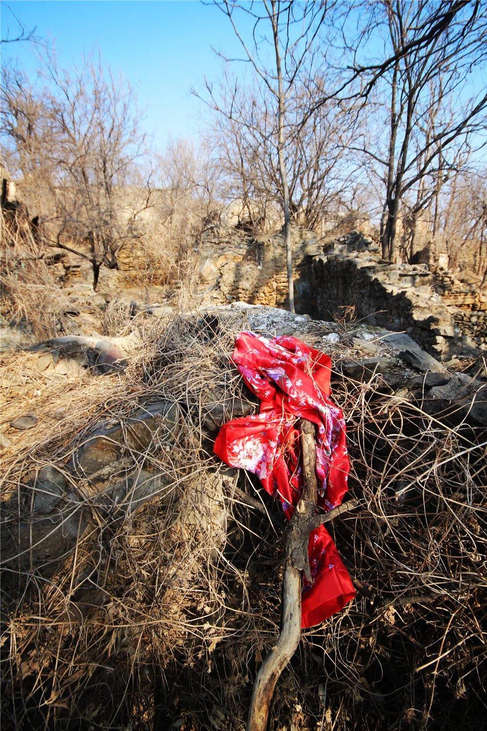 古树枯井,诡异红衣——游走山野荒村