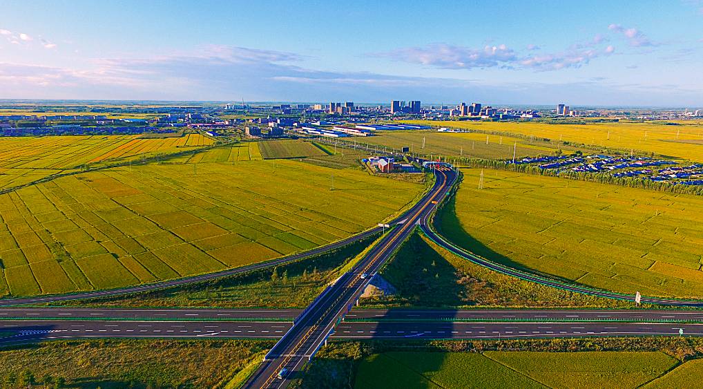 航拍龙江有一种米香叫庆安香