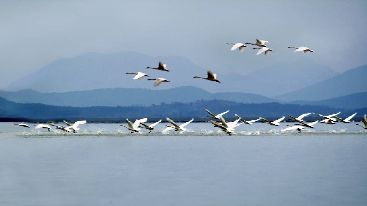 东流老街升金湖→东流古镇→尧乡舜境→九天仙寓→南溪古寨→许世英
