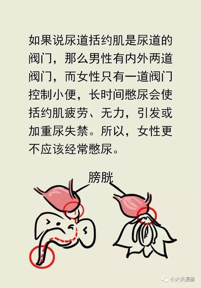 喝酒憋尿太危险了?看看专家怎么解读