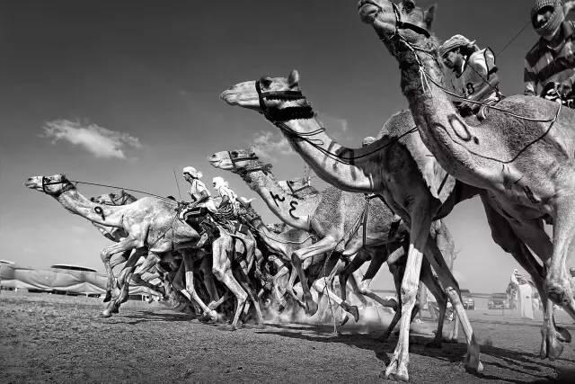 经典黑白摄影,17张索尼世界摄影大赛最佳黑白照片大赏