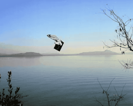 448_357gif 动态图 动图