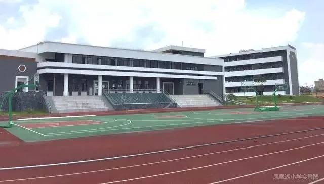 知识城凤凰湖小学9月开学2字头即可入读公办小学