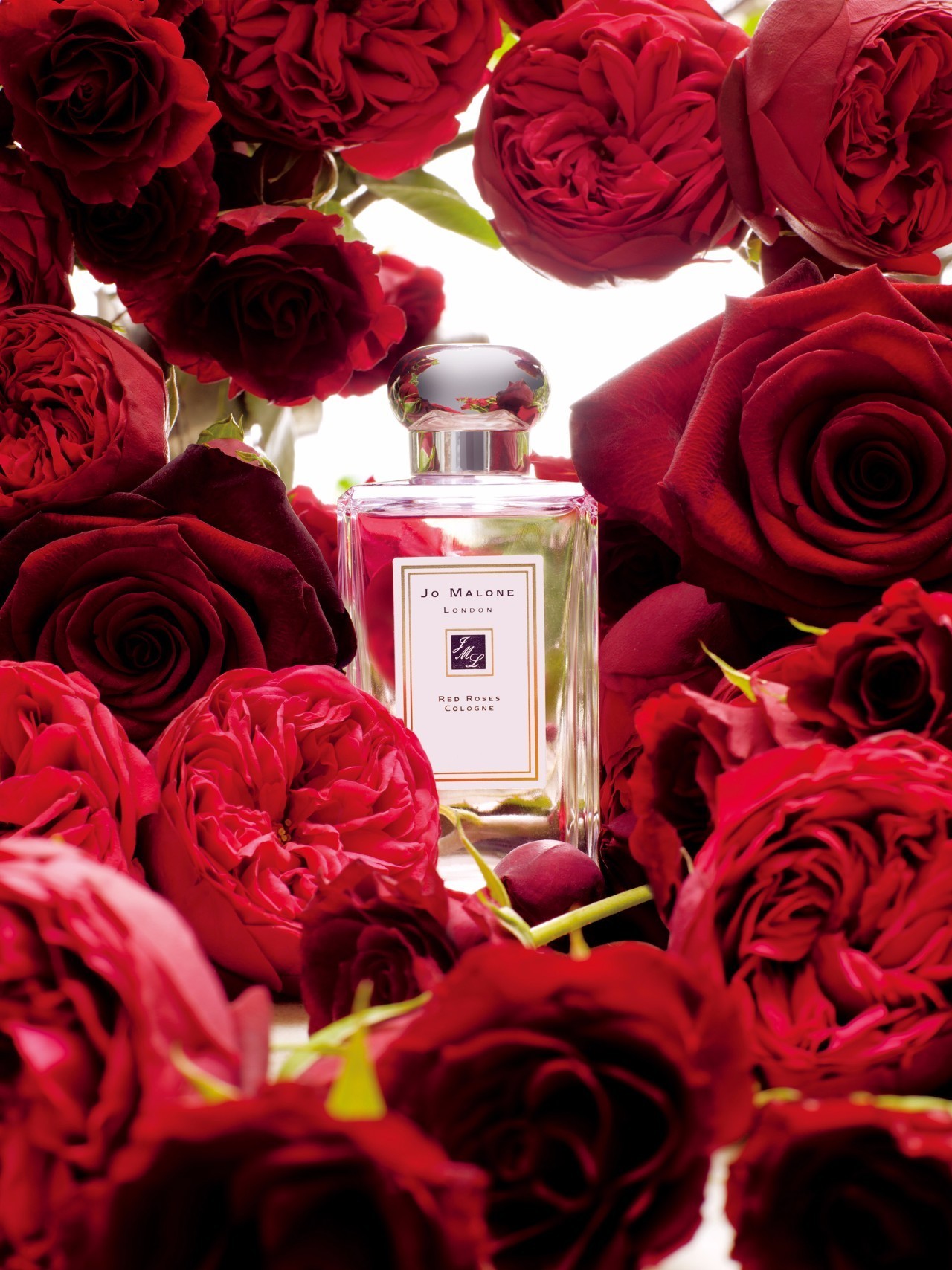 jo malone 祖·玛珑红玫瑰香氛摩登浪漫的精髓,以全球极致矜贵的七款