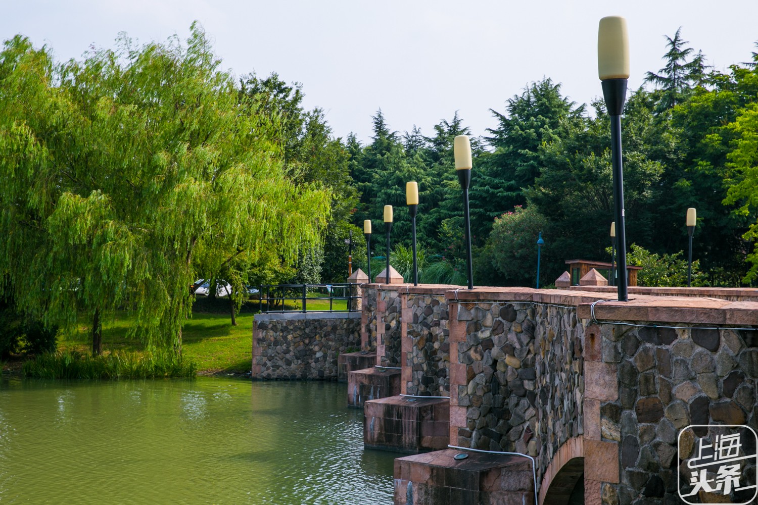 油油的一片,小镇的四周基本都被绿树丛荫包围着除了东面的华亭湖以外