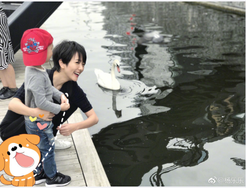 汪涵等七大湖南台主持人儿女大pk