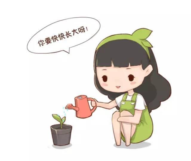 家里蒸馒头用的东西还能用来养花?原来这么好用!