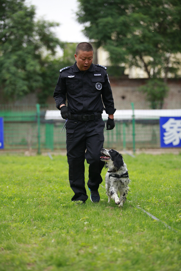 法者|警犬守护者徐洋:扎根犬舍22年成专家,训出搜毒尖兵