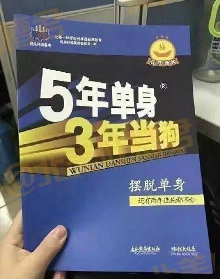 五年单身,三年当狗,剩下两年,狗都不如【爆笑合集】