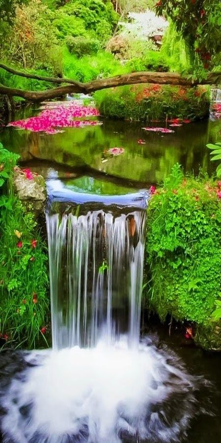 令人赏心悦目的如画美景犹如仙境般的迷人