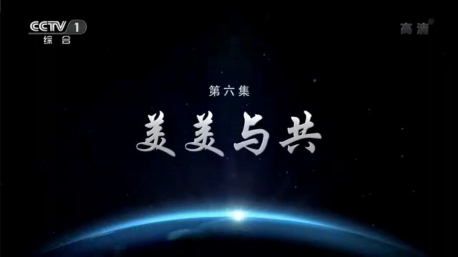 央视视频大国外交第六集美美与共