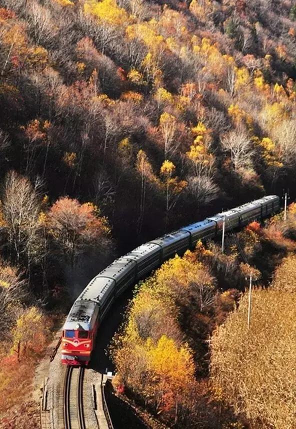 秋天这列开往长白山的绿皮火车风景美到不敢眨眼睛