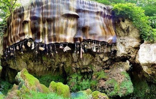 抚顺刘山有多少人口_人口普查(2)