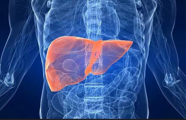 67百病之源,根在肝肾!